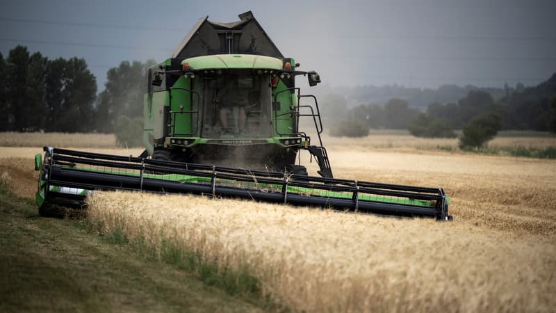 Les débats s'annoncent tendus à l'Assemblée nationale sur les questions inflammables des pesticides ou du stockage de l'eau: le projet de loi d'urgence agricole a été adopté en commission par les députés