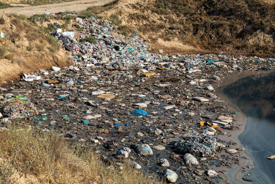 « Le scandale du cadmium est l’arbre qui cache la forêt de notre surexposition à de nombreux contaminants et polluants chimiques »