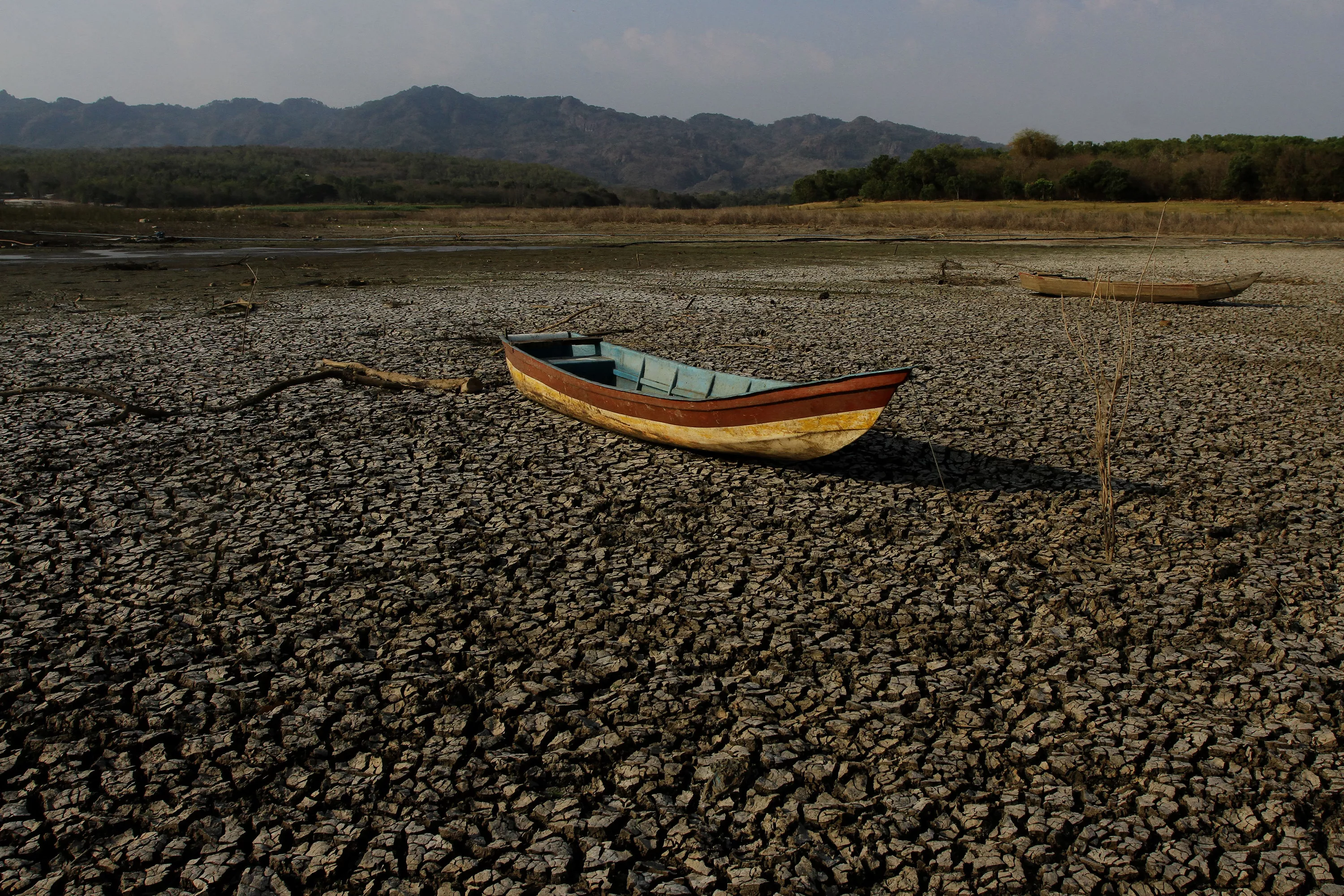 « De l’huile sur le feu d’une planète qui se réchauffe » : le phénomène El Niño, l’enfant terrible du climat qui pourrait faire son retour cet été