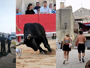 Des blessés dans l’explosion de feux d’artifice, un taureau se tue en piste, où sont les limites de la décence à Carcassonne ? : l’essentiel de l’actu