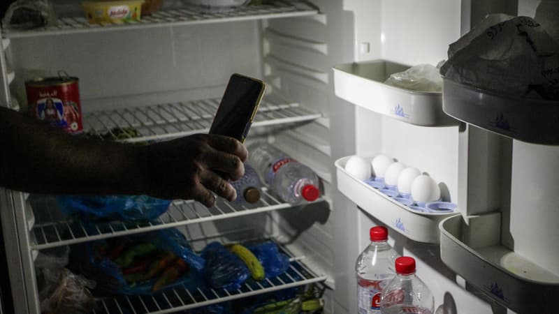 Des centaines de cadavres de poulets, des milliers de litres de lait jetés et un prix du poisson qui double: en Tunisie, les délestages à répétition pénalisent des filières entières de l'agroalimentaire
