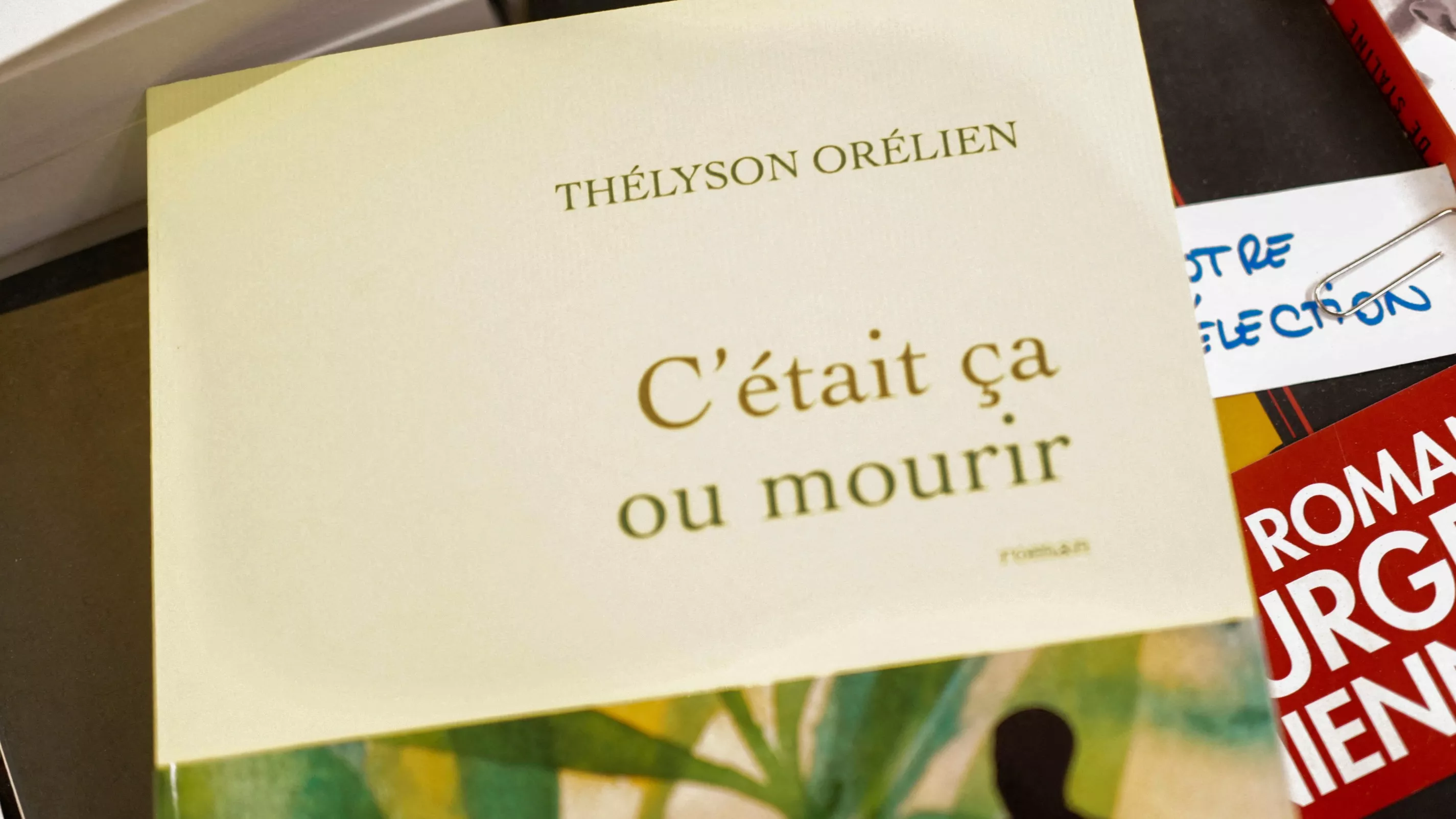 «Des clients m’ont demandé à voir le roman IA»: quand le best-seller de Thélyson Orélien embarrasse les libraires