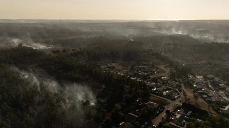 Des milliers d'hectares brûlés et des assurances habitation qui coûtent plus cher: en Nouvelle-Aquitaine, les cotisations ont augmenté de 20% cette année (contre 13% au niveau national)