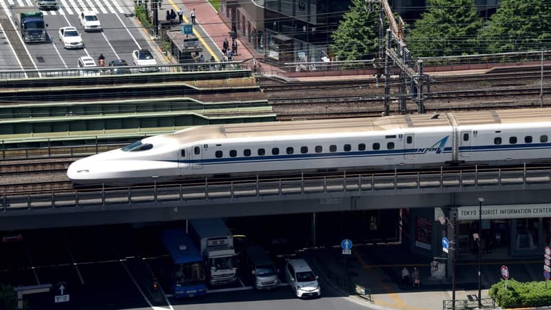 Dix ans de travaux pour 100 petits kilomètres: l'Inde est le pays du train mais n'avait pas de