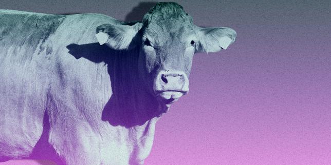 Cadmium : « A force de privilégier les volumes, la sécurité alimentaire a relégué au second plan la sécurité sanitaire »