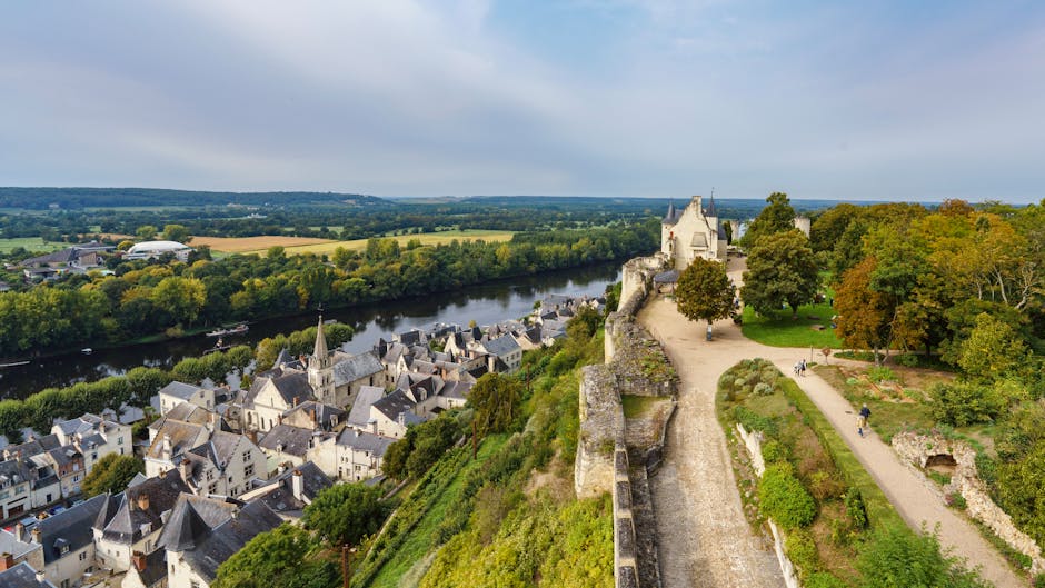 En Centre-Val de Loire, 6 expos à voir absolument cet automne, d’Orléans à Tours en passant par Chambord - Beaux Arts