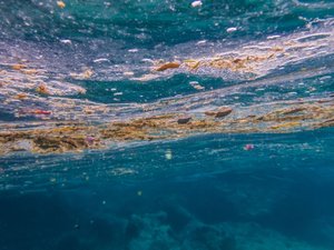 Eaux usées, tampons, lingettes et papier hygiénique rejetés dans l’océan près des plages : révélations édifiantes au Pays Basque