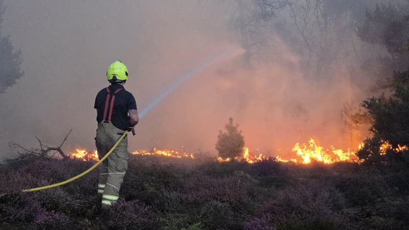 EDF exploite l'une des deux centrales, l'autre est en construction: l'incendie dans l'Est de l'Angleterre ne menace pas les deux sites nucléaires à proximité