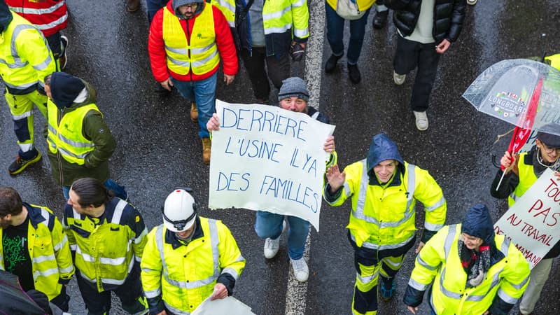 Elle produit les 3/4 de la pâte à papier consommée en France: les 2 usines du français Fibre Excellence sont menacées de liquidation, Sébastien Lecornu est appelé à l'aide