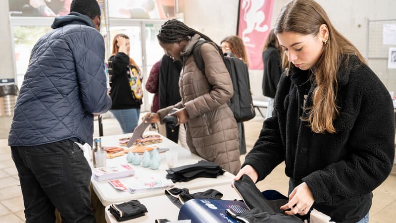 Elles devront être en coton bio, résister à 52 lavages et coûter 19 euros: le cahier des charges dédié au remboursement des culottes menstruelles par la Sécu est enfin publié (mais ne fait pas l'unanimité)