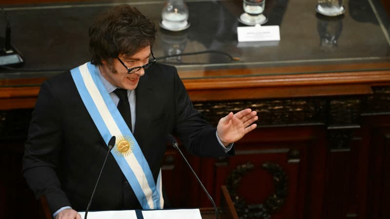 En Argentine, finie la gratuité de tous les soins pour les étrangers non-résidents: Javier Milei souhaite lutter contre le