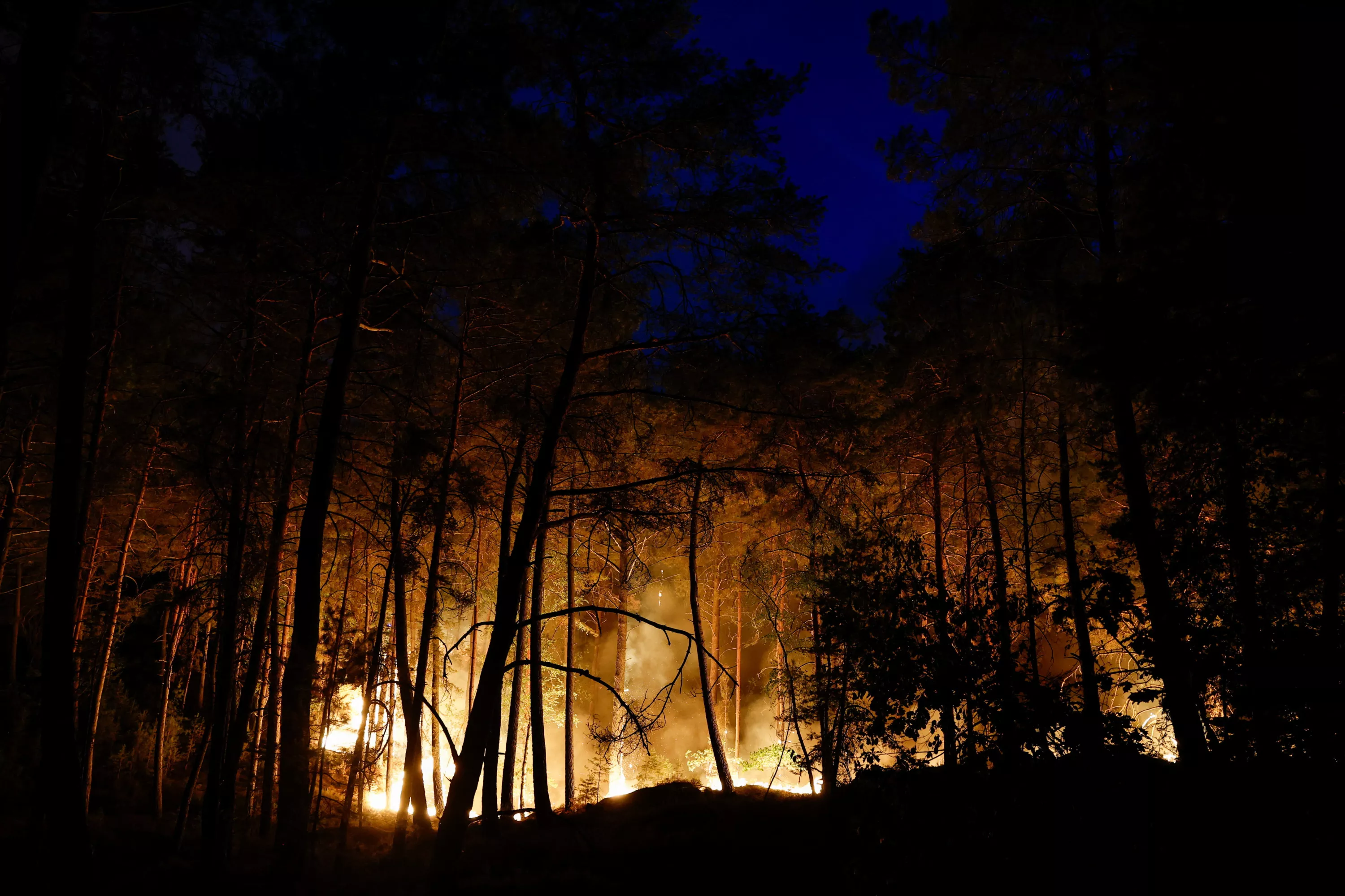 EN DIRECT - Canicule : l’incendie en forêt de Fontainebleau est d’une «ampleur exceptionnelle», le ministre de l’Intérieur attendu sur place lundi matin