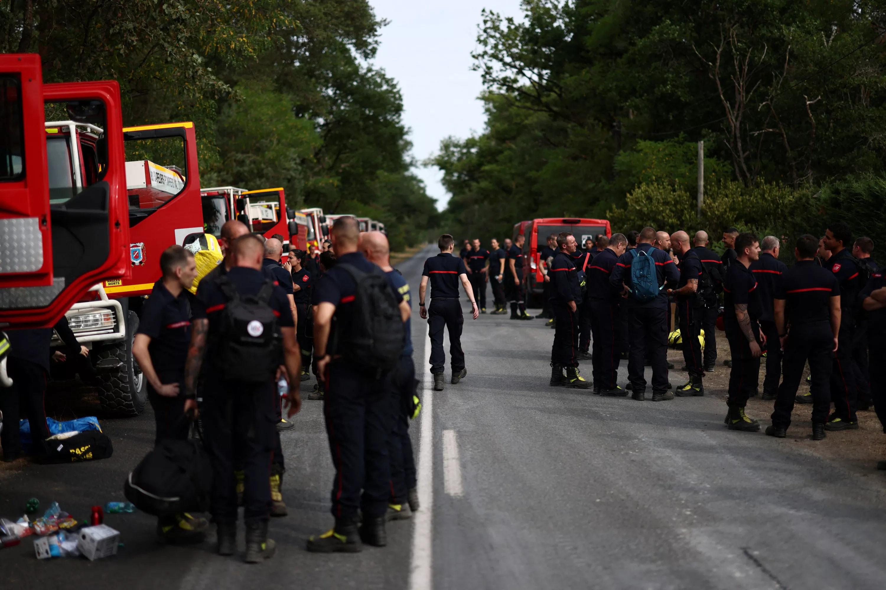 EN DIRECT - Feux en forêt de Fontainebleau : un homme en garde à vue pour une tentative d’incendie mardi soir