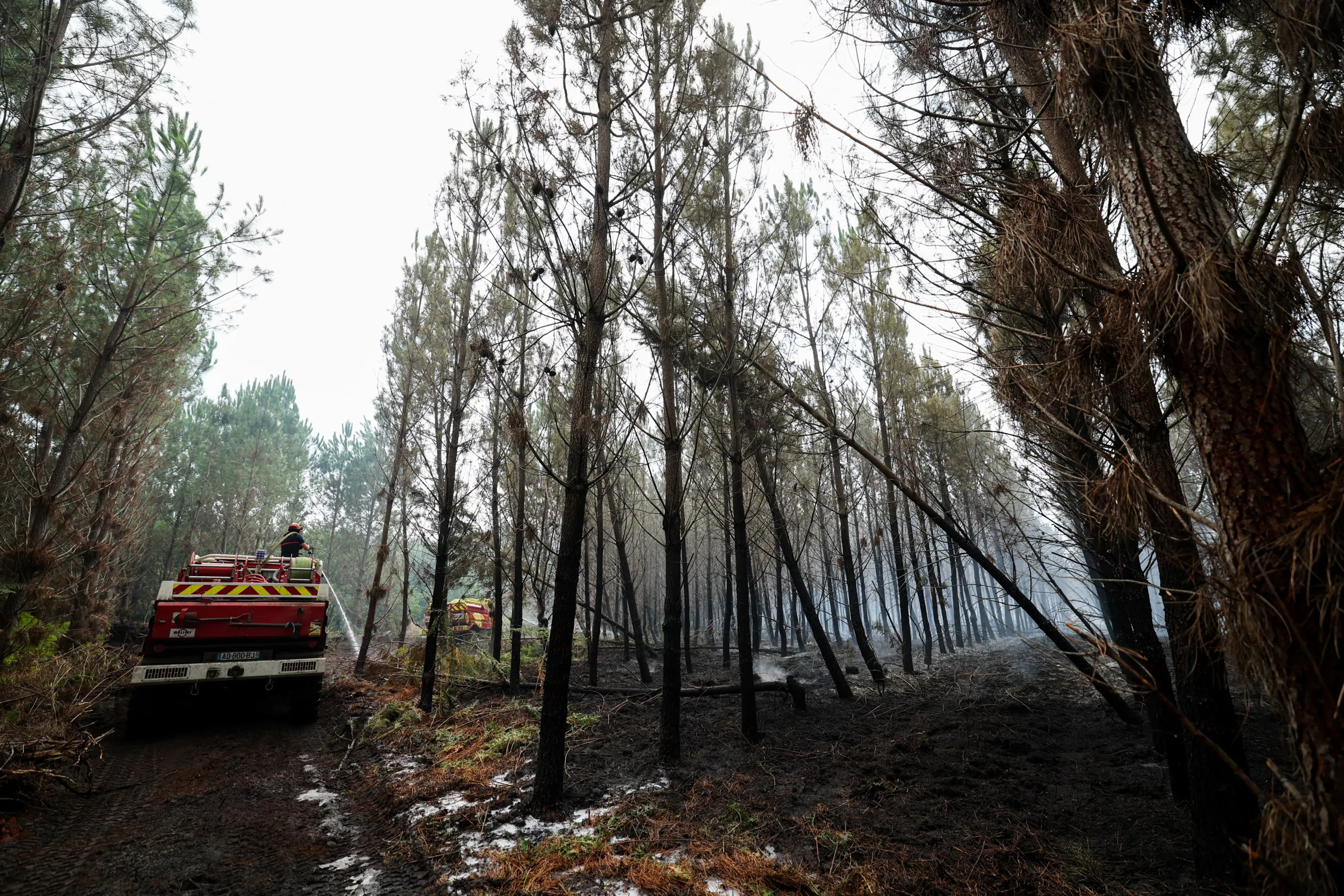 EN DIRECT - Incendie dans les Landes : une situation «plutôt favorable» ce matin, le retour des évacués n’est pas à l’ordre du jour