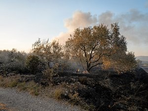 EN DIRECT Incendies : un départ de feu non loin de la base de Garons près de Nîmes attisé par un fort vent…