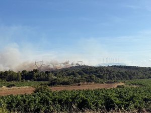EN DIRECT Incendies entre l’Hérault et l’Aude : déjà plus de 400 hectares parcourus, des évacuations sont en cours…