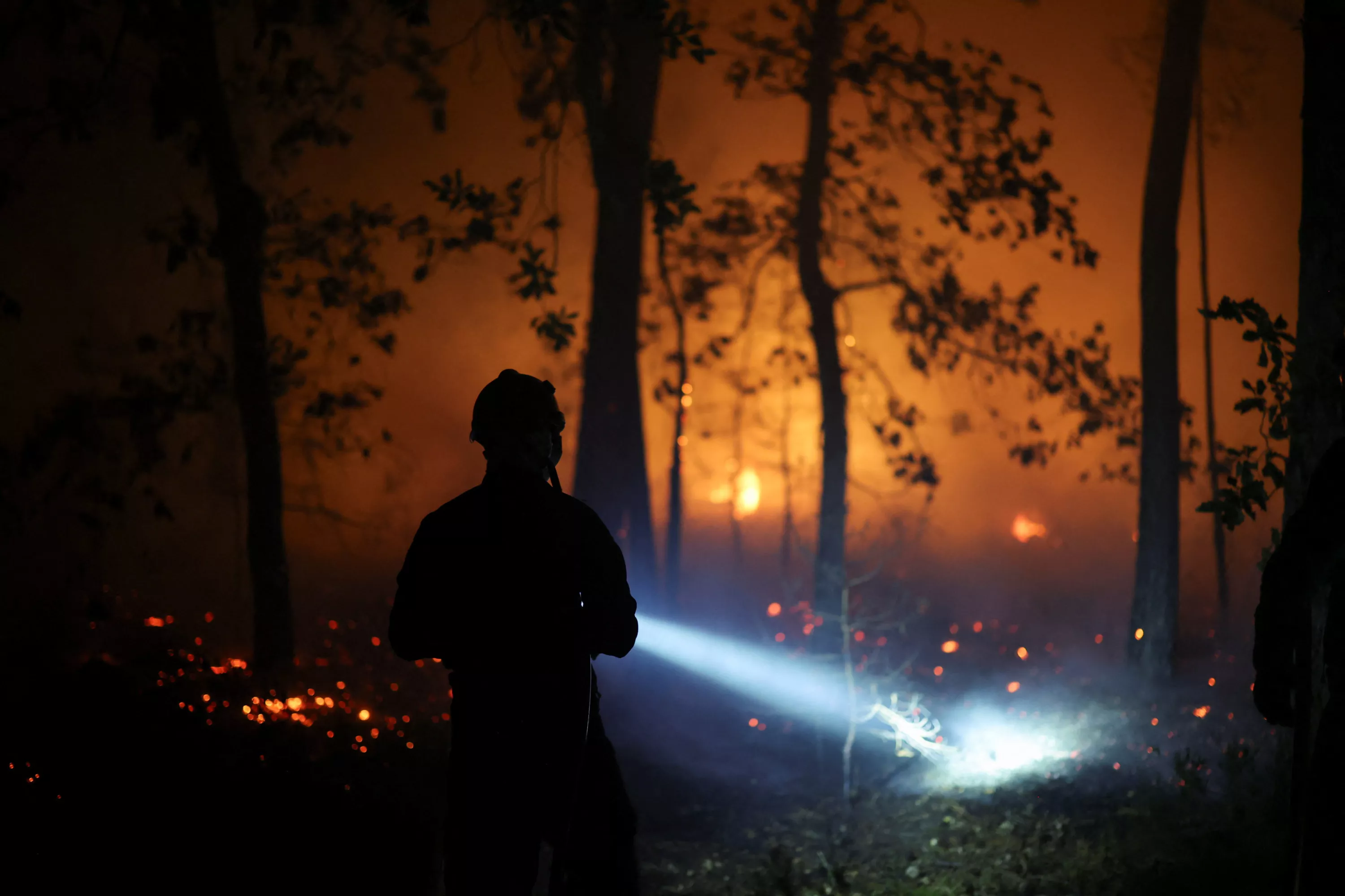 EN DIRECT - Incendies : les feux en forêt de Fontainebleau ont parcouru près de 2000 hectares et continuent de progresser