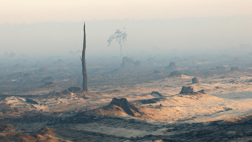 EN DIRECT - Incendies en France: le feu «toujours stabilisé» en Gironde, 4000 touristes évacués préventivement de Lacanau