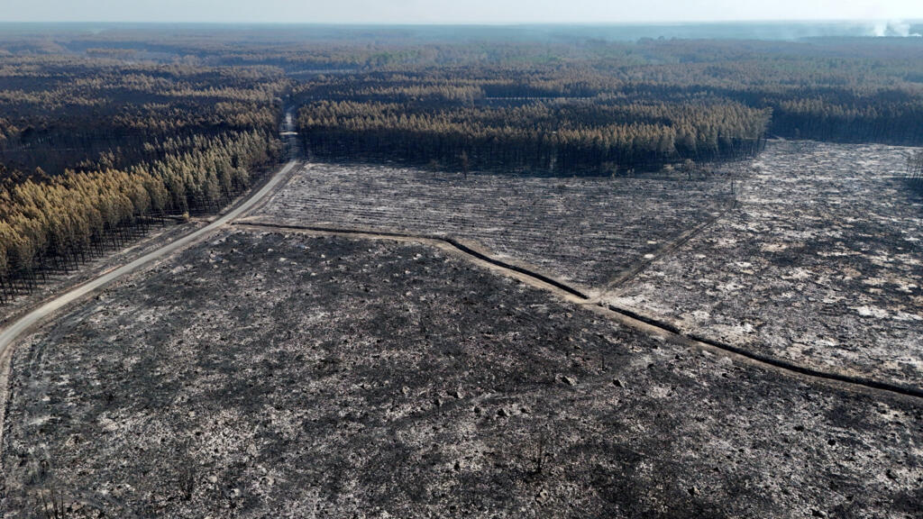 EN DIRECT - Incendies en France: le mégafeu en Gironde «n'a pas progressé», un retour à la «normale» envisagé