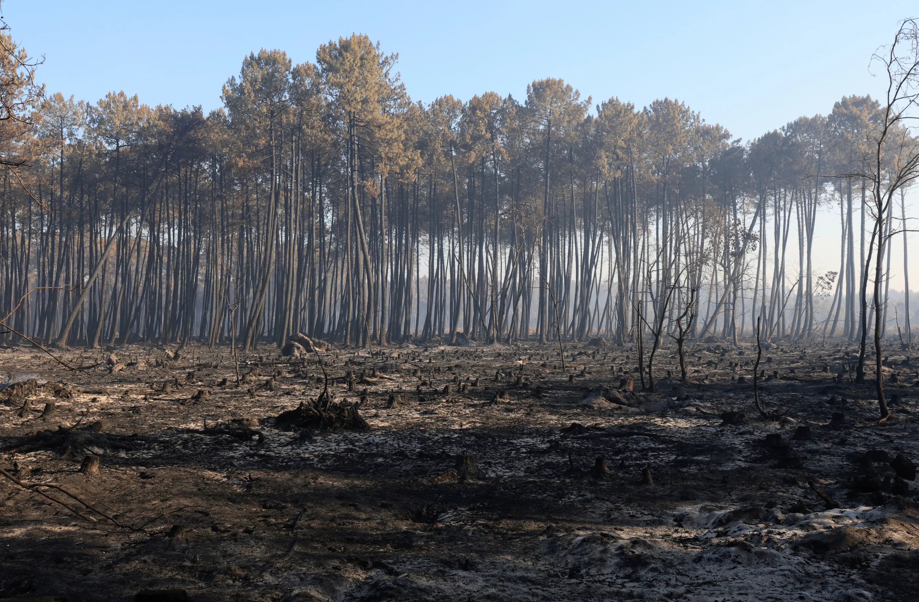 EN DIRECT - Incendies en Gironde : une nuit «calme» avant une journée caniculaire à haut risque