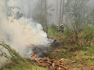 EN DIRECT Incendies : des odeurs de brûlé dans tout l’Hérault, le feu aux portes de Bordeaux… suivez les dernières informations