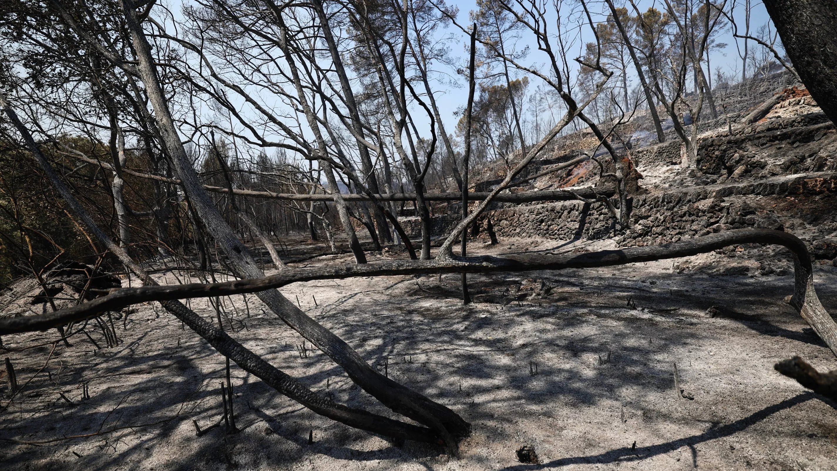 EN DIRECT - Incendies dans le Var : l’hypothèse volontaire «sérieusement envisagée» pour la reprise de feu du Gros Bessillon