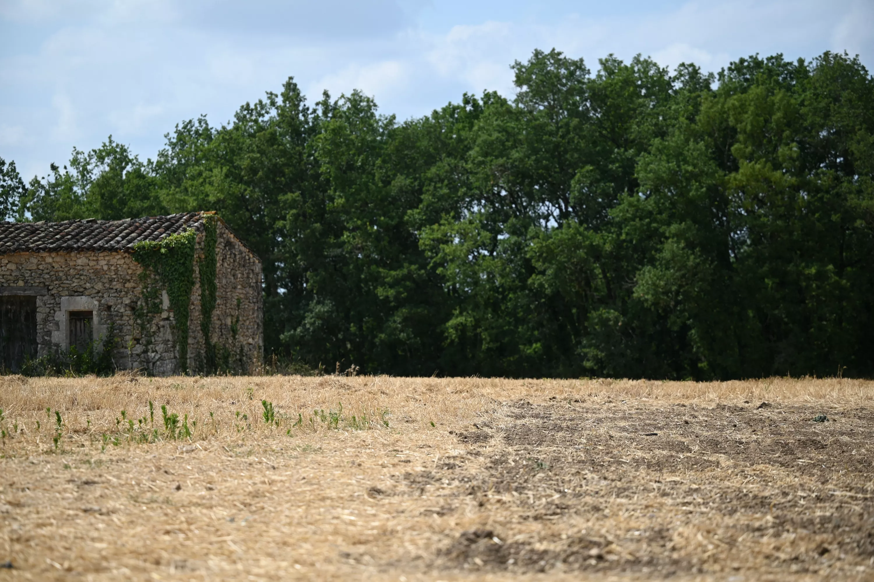 Et pourquoi pas un «camping archéologique» ? Après la découverte d’ossements dans l’affaire Jubillar, la crainte d’un tourisme morbide