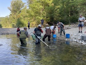 Face à la canicule et la sécheresse, les pêcheurs sauvent