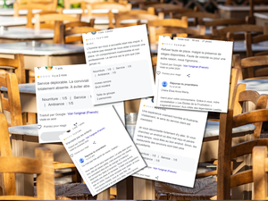 Faux avis Google :