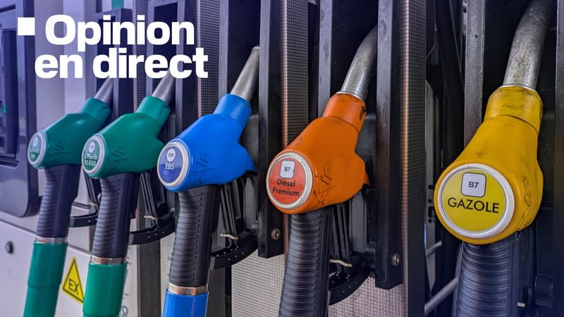 SONDAGE BFMTV. Totalenergies plafonne ses prix à 1,99 euro l'essence et 2,25 euros le gazole: pas suffisant pour 71% des Français qui veulent que le pétrolier fasse plus d'effort (et que l'Etat baisse les taxes)