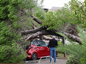 Force du vent, étendue des dégâts : à Keraunos de décider si le phénomène météorologique qui a frappé Le Grau-du-Roi était vraiment une tornade