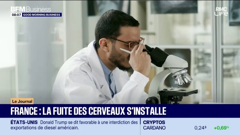 France : la fuite des cerveaux s'installe