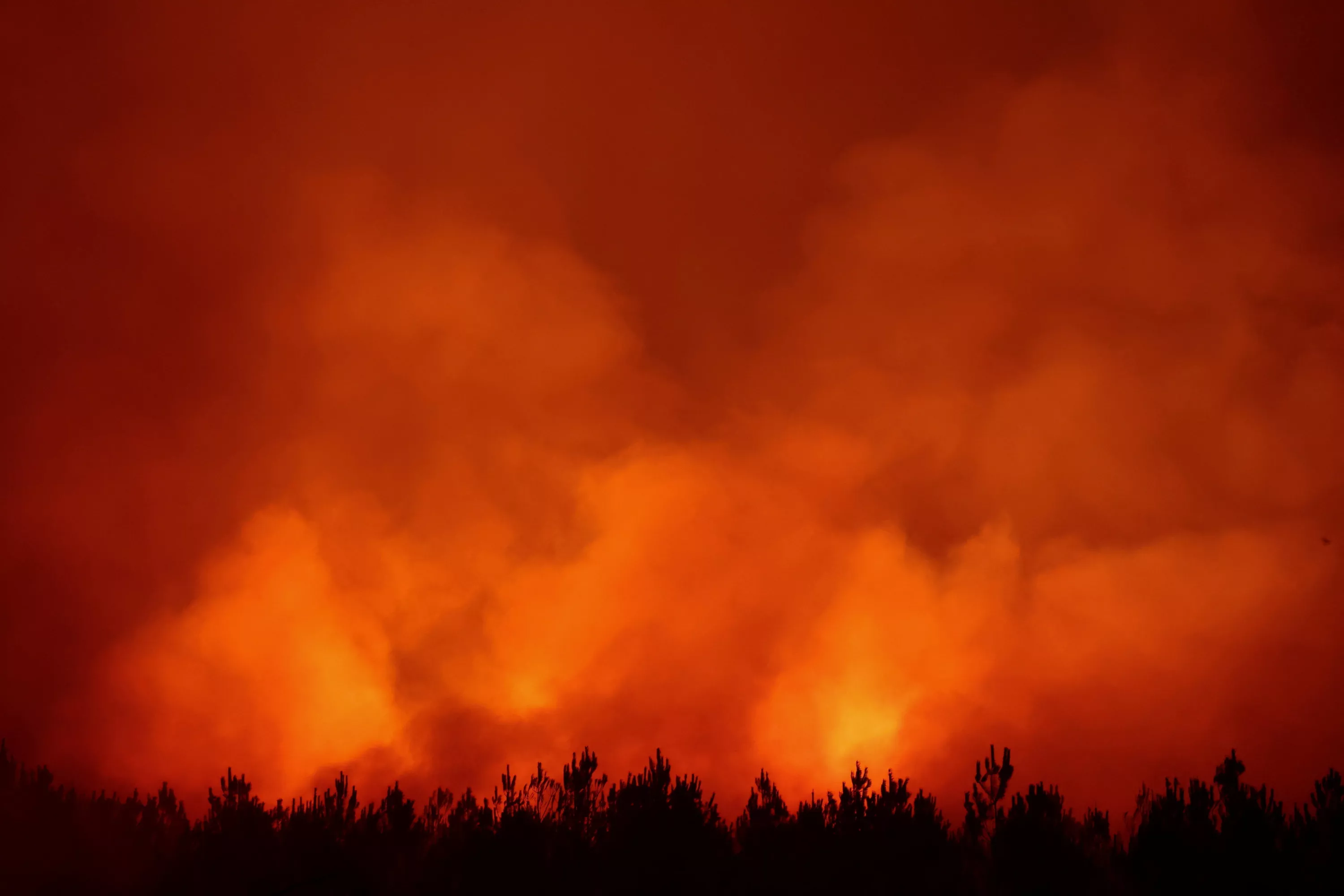 Gironde, Var... Visualisez en carte les feux de forêt qui ravagent la France
