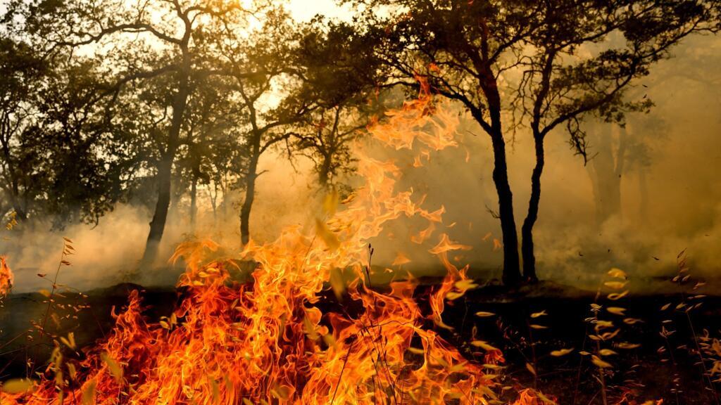 Grèce: les incendies font deux morts près d'Athènes et continuent de ravager l'Europe