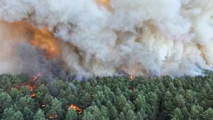 Huit cents hectares parcourus, 500 pompiers mobilisés, bombardiers d'eau déployés... Ce que l'on sait de l'incendie hors norme qui ravage la forêt de Fontainebleau