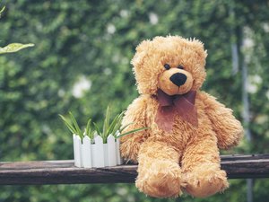 Il a été retrouvé avec 158 kg de cannabis et… un ours en peluche : un homme interpellé sur l’autoroute et condamné