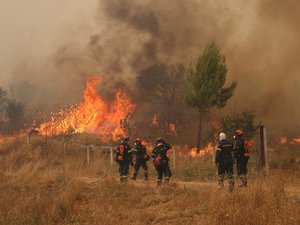 Ils étaient déployés pour lutter contre un incendie : deux hélicoptères se percutent en Grèce, des membres d’équipage inconscients