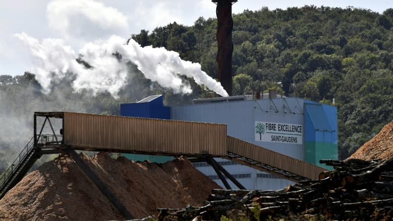 Ils veulent débloquer la reprise de Fibre Excellence par Matthieu Pigasse: les présidents de régions et les syndicats demandent à Emmanuel Macron d'organiser une table ronde