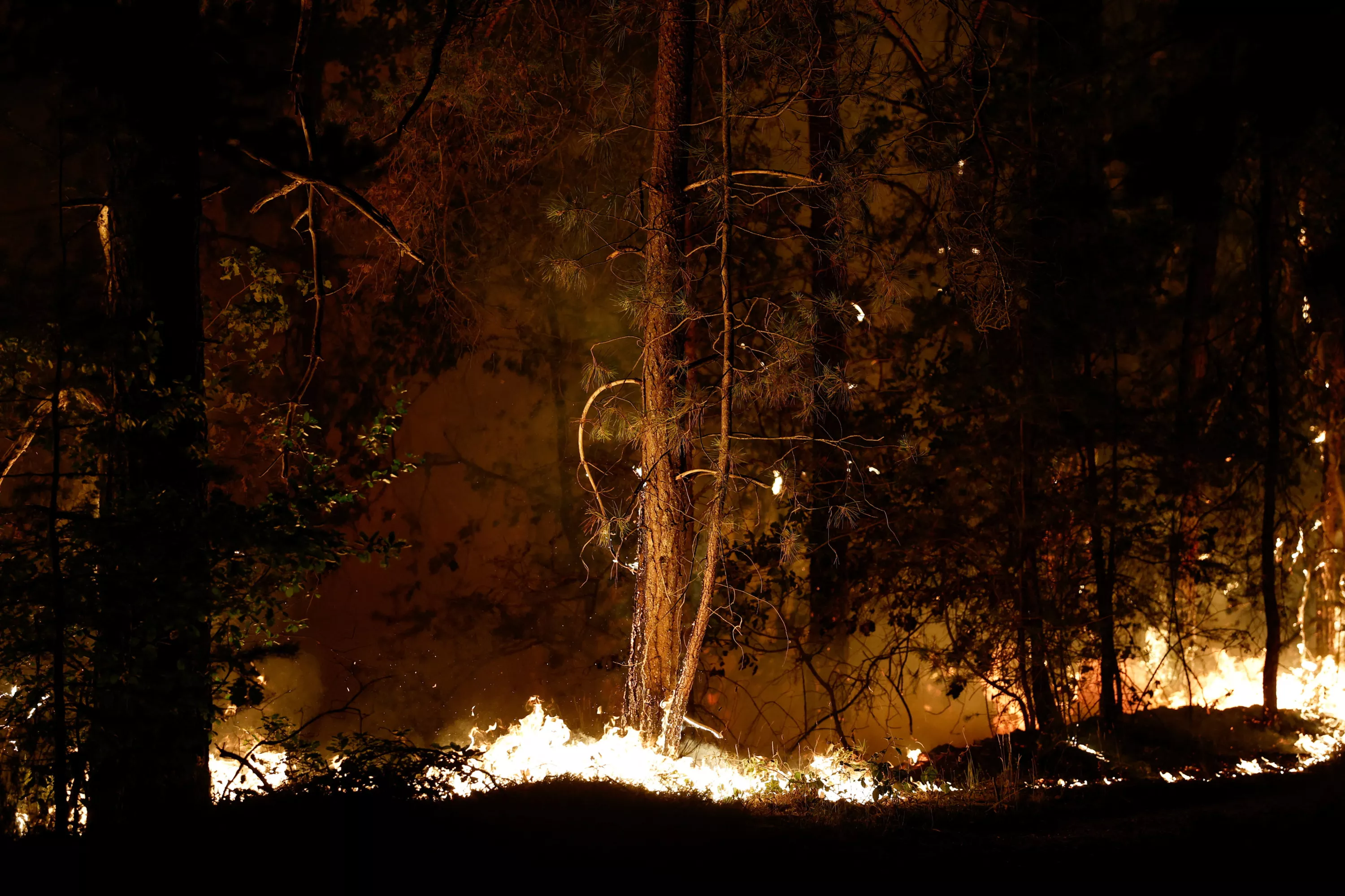 Incendie à Fontainebleau : «Avec la déprise agricole, on a laissé croître la forêt jusqu’aux portes de la ville»