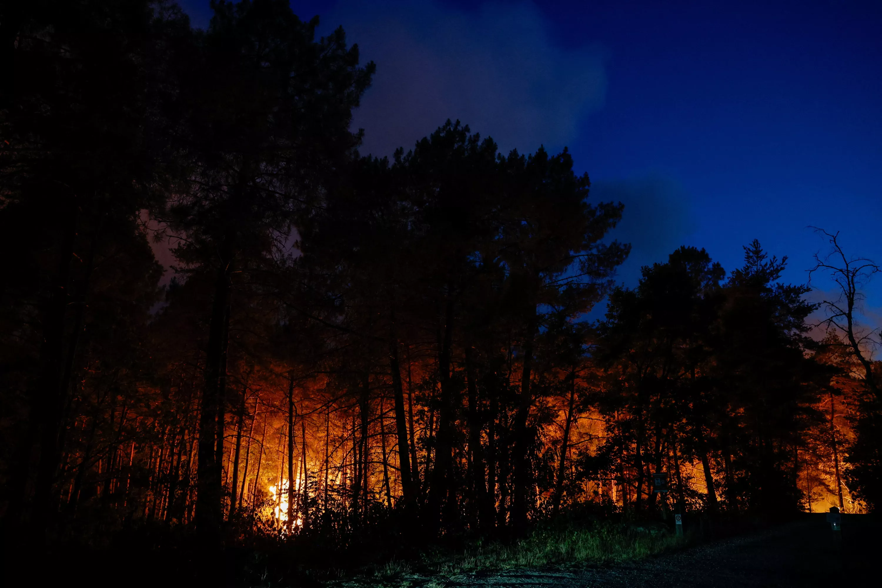 Incendie de la forêt de Fontainebleau : les perturbations ferroviaires se poursuivent ce lundi matin