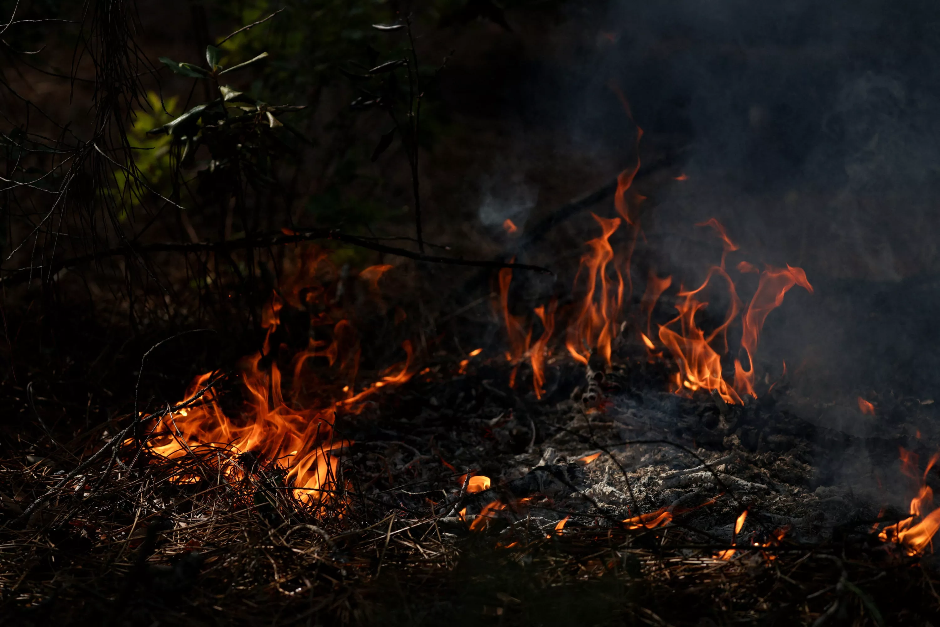 Incendie en Gironde : la carte des feux de forêt en cours près du bassin d’Arcachon