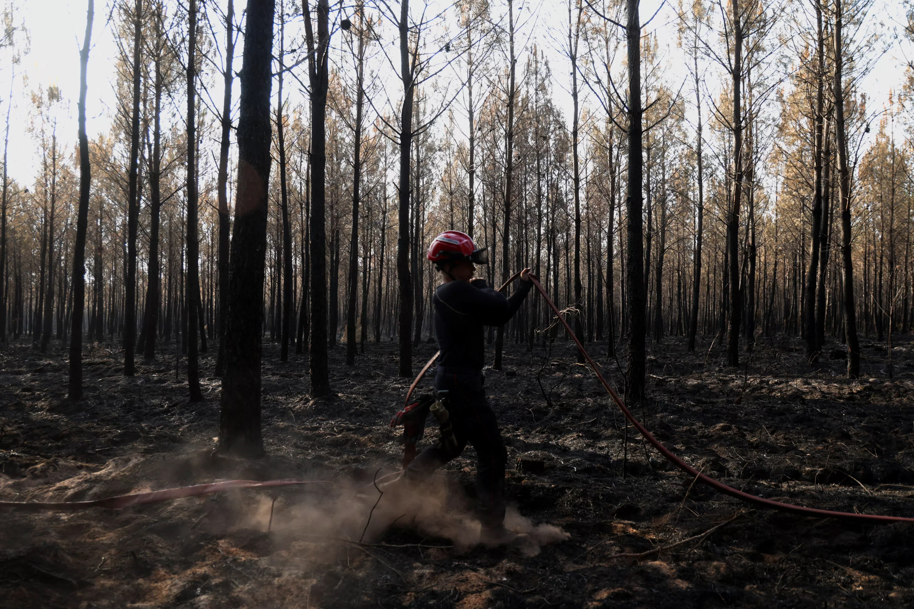 Incendie en Gironde : le méga feu «pas fixé» mais «toujours contenu» samedi, selon les pompiers