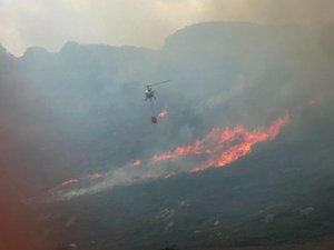 Incendie dans l’Aude : 240 pompiers luttent contre le feu dans les Corbières, 100 hectares déjà parcourus par les flammes