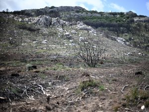 Incendie dans l’Aude : le feu désormais contenu après avoir ravagé 100 hectares, aucune victime à déplorer
