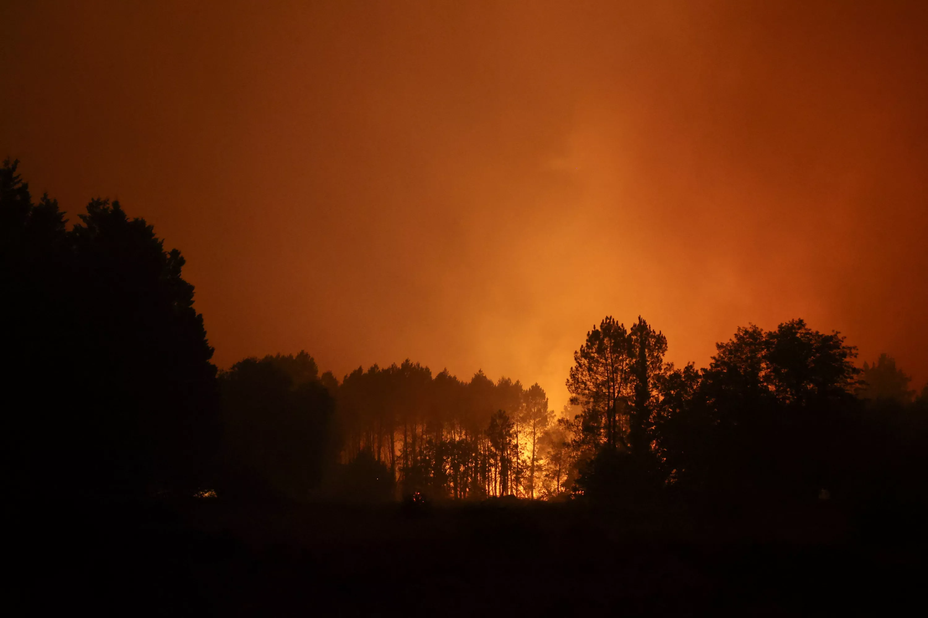 Incendie dans les Landes : la carte du feu de forêt en cours près de Mont-de-Marsan