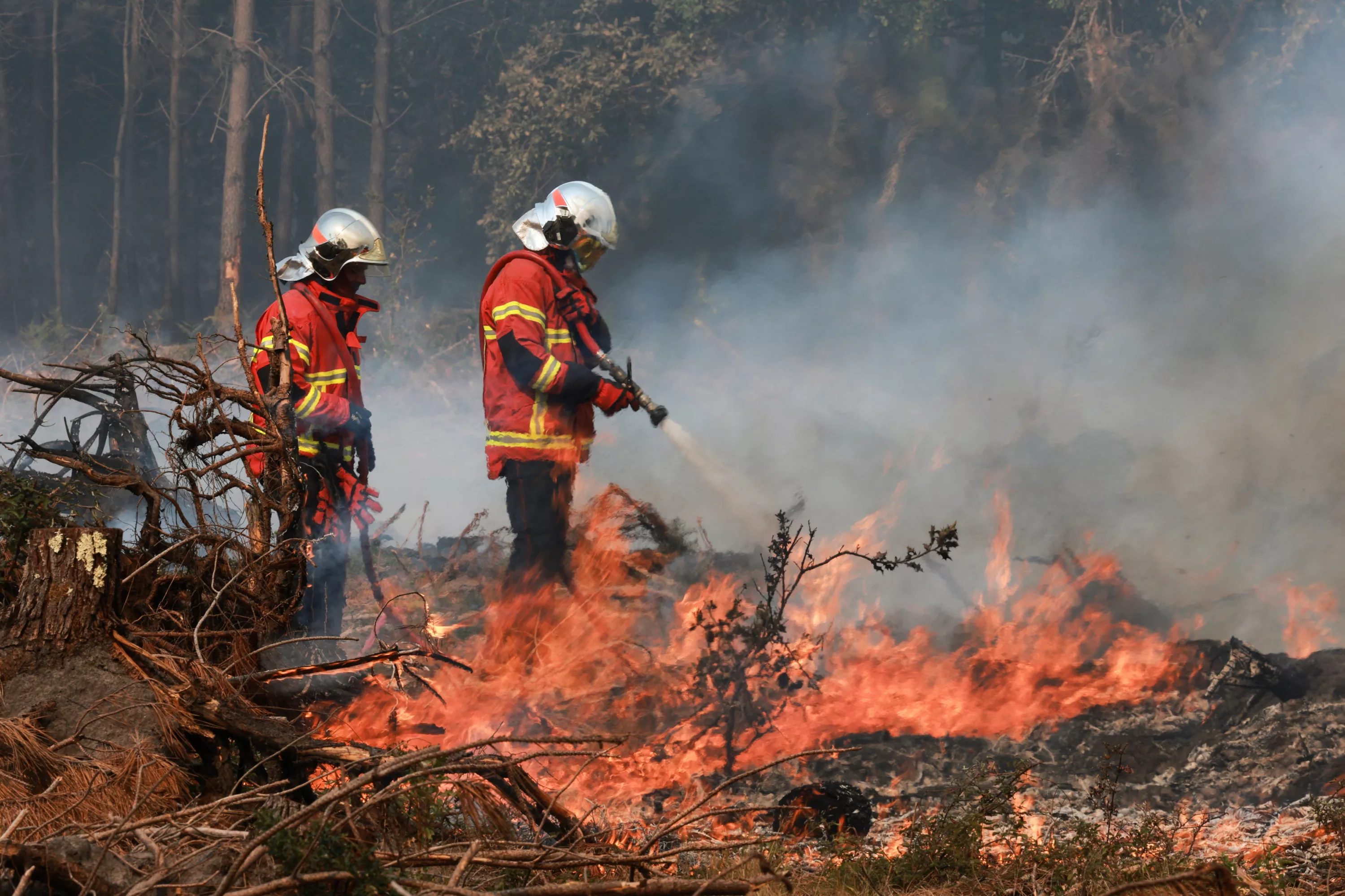 Incendie dans les Landes : le feu a repris dans la nuit, 650 personnes évacuées