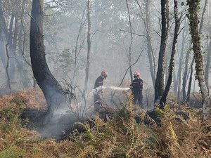Incendie dans les Landes : la reprise du feu a entraîné de nouvelles évacuations dans la nuit, 1 600 hectares brûlés