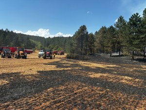 Incendie en Lozère : grâce à l’intervention de 250 pompiers, le feu fixé après avoir brûlé 150 hectares
