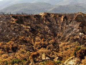 Incendie dans les Pyrénées-Orientales : après avoir parcouru près de 5 000 hectares, le feu de Trévillach est définitivement éteint