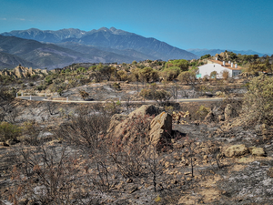 Incendie dans les Pyrénées-Orientales : évacué en urgence, un habitant de Vinça raconte l’attente avant de retrouver sa maison intacte